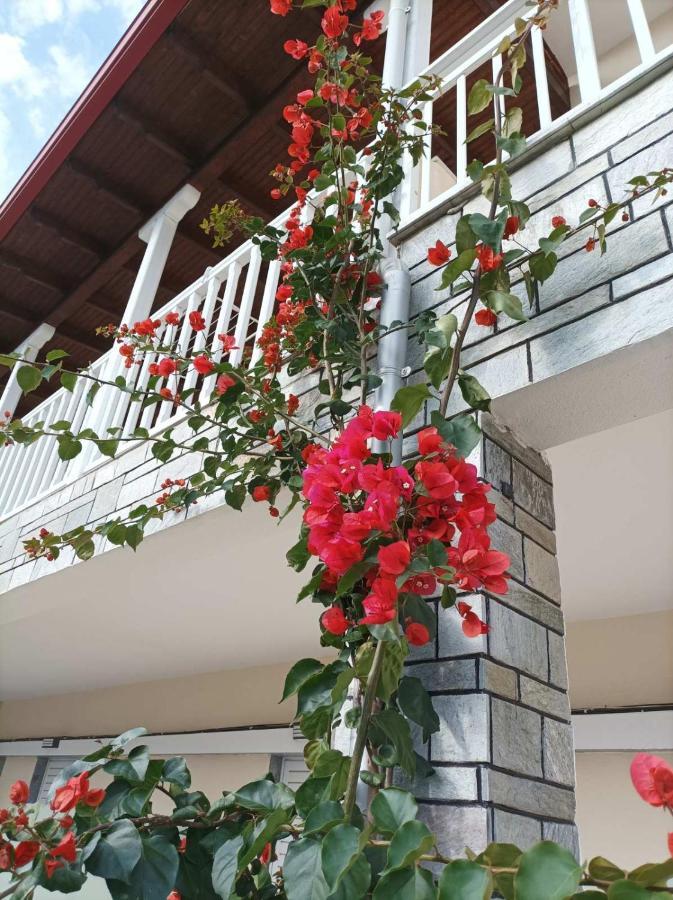 Bella Terra Nature Living Asprovalta Exterior foto
